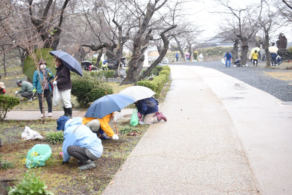 念入りに清掃を行った津山さくらまつりの主会場