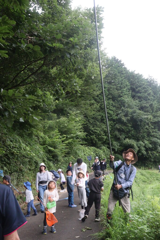 昆虫探しをする参加者