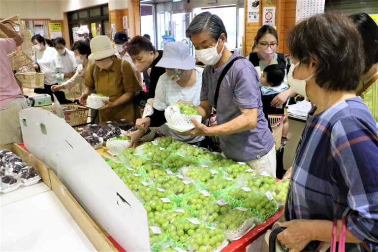 シャインマスカットなどを買い求める人たち=岡山県津山市=