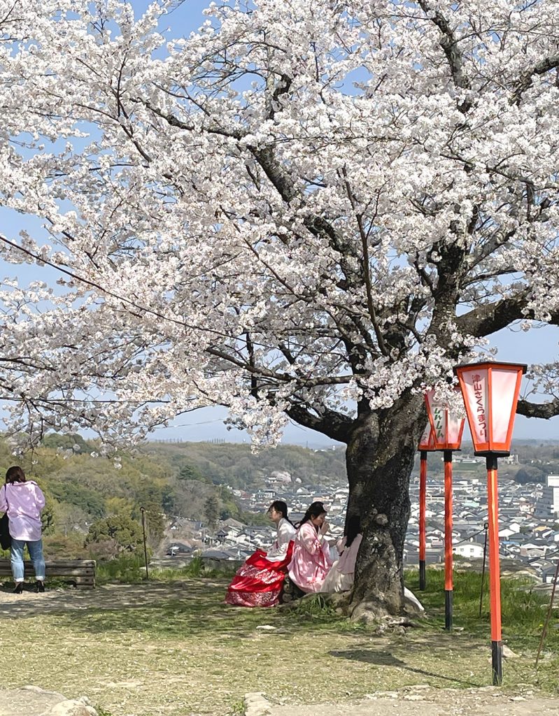 桜の下で休憩する女性達=2023年3月31日午後2時12分