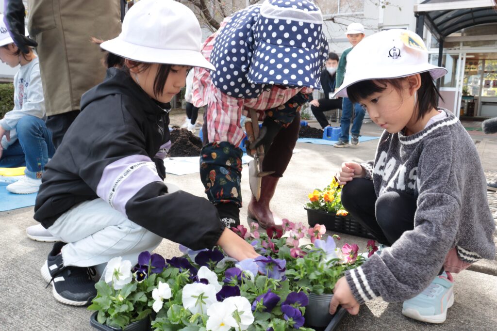 パンジーの花を選ぶ児童
