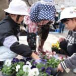 パンジーの花を選ぶ児童