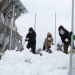 作業に励むボランティアたち=岡山県真庭市で