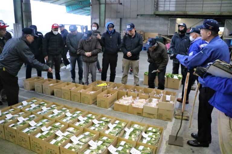 初市の地物野菜をせり落とす仲買人たち＝岡山県津山市の津山中央青果で