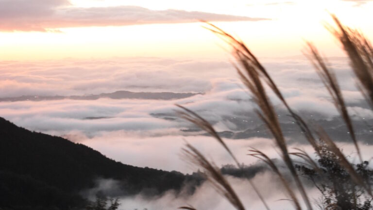 黒沢山から眺めた幻想的な雲海=岡山県津山市で