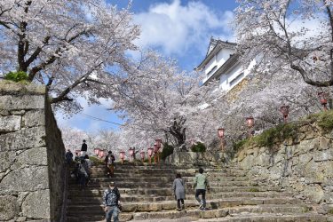 山下の津山城（鶴山公園）まとめ