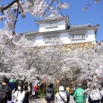 ３年ぶりに10万人を超えた昨年の「津山さくらまつり」