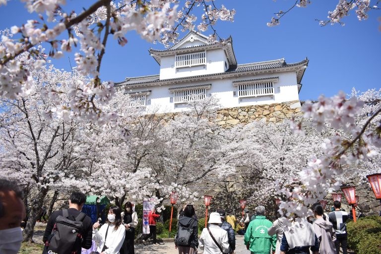 ３年ぶりに10万人を超えた昨年の「津山さくらまつり」