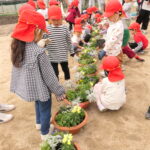 色とりどりの花を植えた鉢を眺める園児