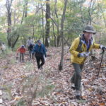 山中の遺構を巡り、本丸跡を目指す参加者