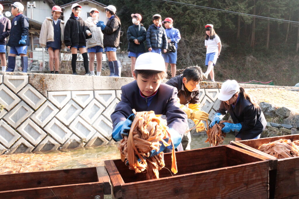 洗い終えたミツマタを箱に詰める子ども