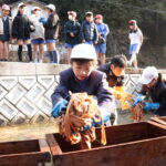 洗い終えたミツマタを箱に詰める子ども