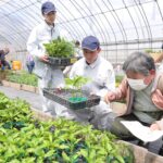 生徒たちに手伝ってもらいながら商品を選ぶ買い物客=岡山県真庭市で