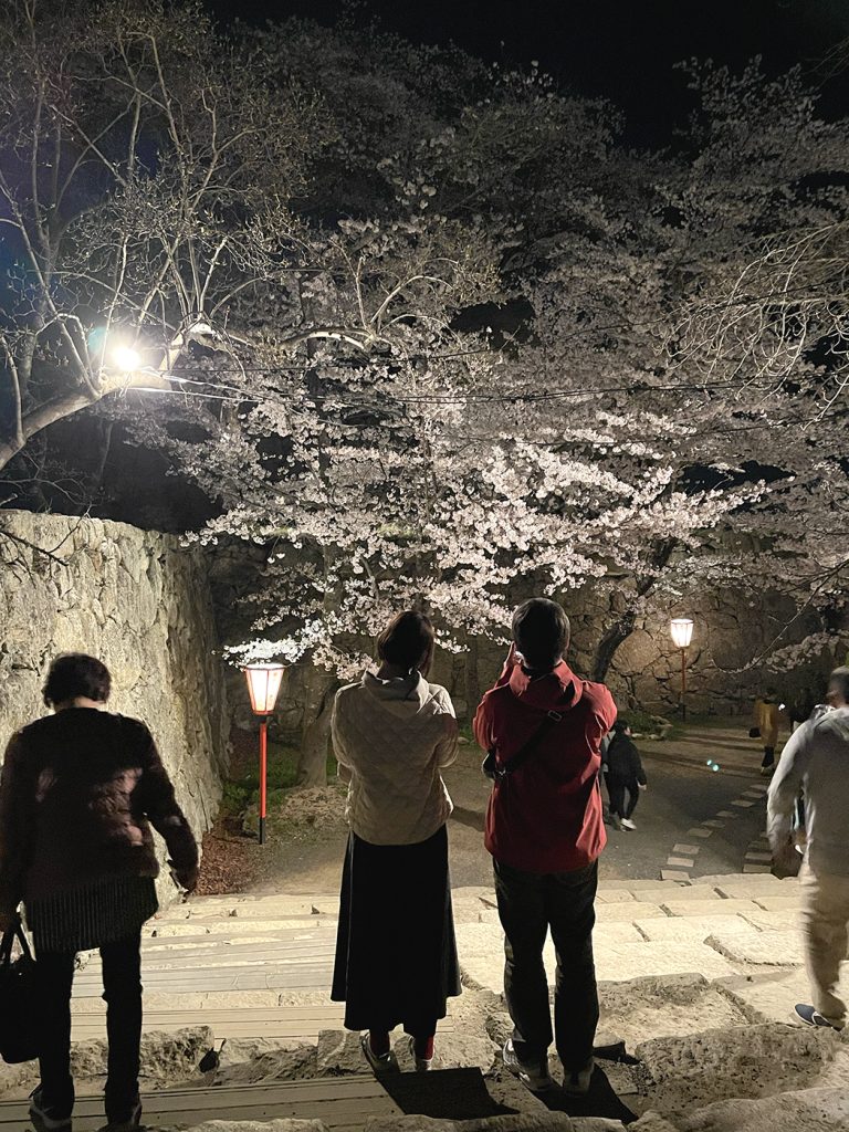 夜桜を眺めて楽しむカップル=2023年3月29日午後7時27分