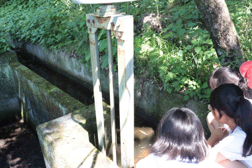 水がサイフォンへと流れる様子を見学する子どもたち