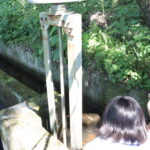 水がサイフォンへと流れる様子を見学する子どもたち