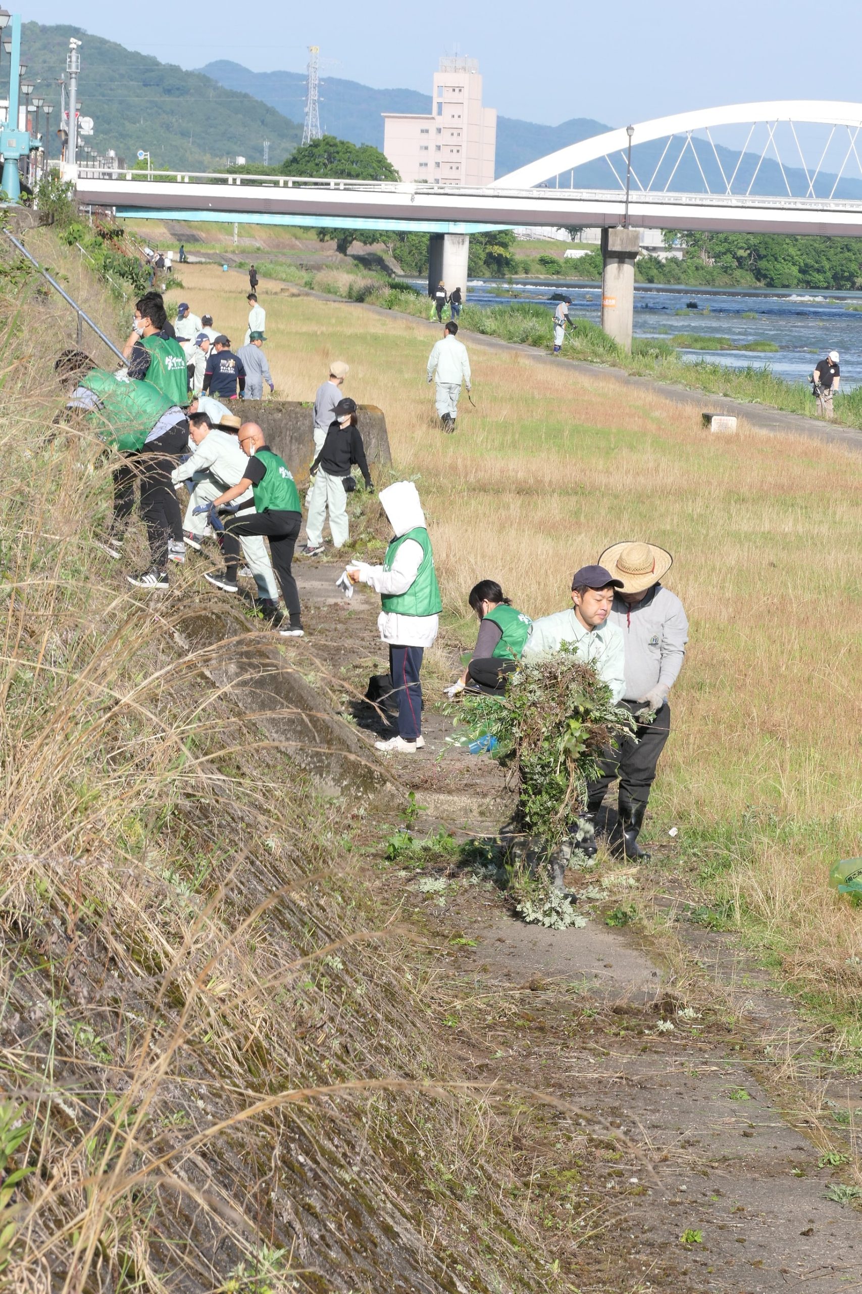 吉井川河川敷でのり面の雑草を刈り取る市民