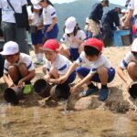 加茂川に稚アユを放流する加茂小の児童たち=岡山県津山市で