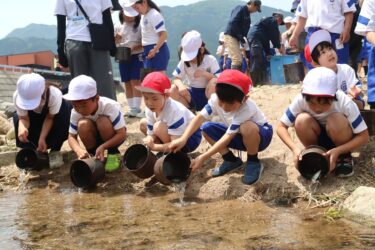 加茂川に稚アユを放流する加茂小の児童たち=岡山県津山市で