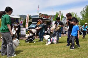 愛犬と一緒にマルシェを楽しむ家族連れら=岡山県津山市で