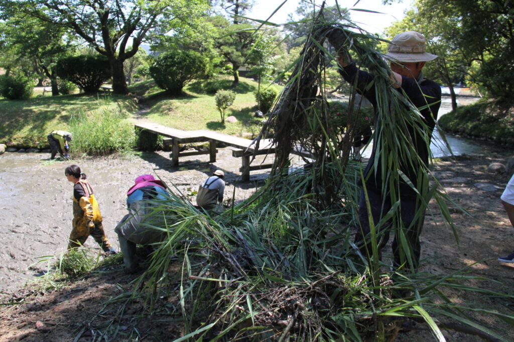 池そうじを行った衆楽園