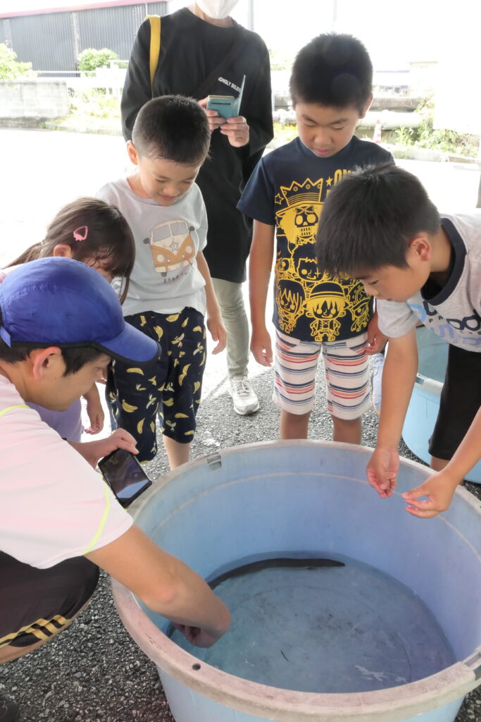 臭みのないウナギを手づかみする子どもたち