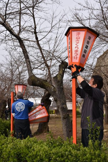 津山城（鶴山公園）で夜桜を楽しんでもらう準備「ぼんぼりの設置開始」/ 岡山県津山市