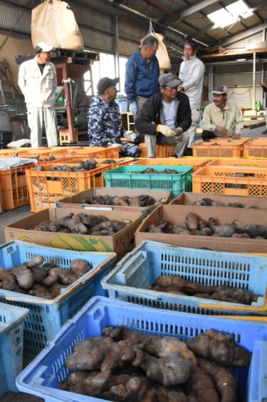真庭市勝山地区で出荷が始まった銀沫=岡山県真庭市で