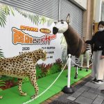 ＧＯ　ＴＯ　ＺＯＯ　商店街どうぶつアドベンチャー