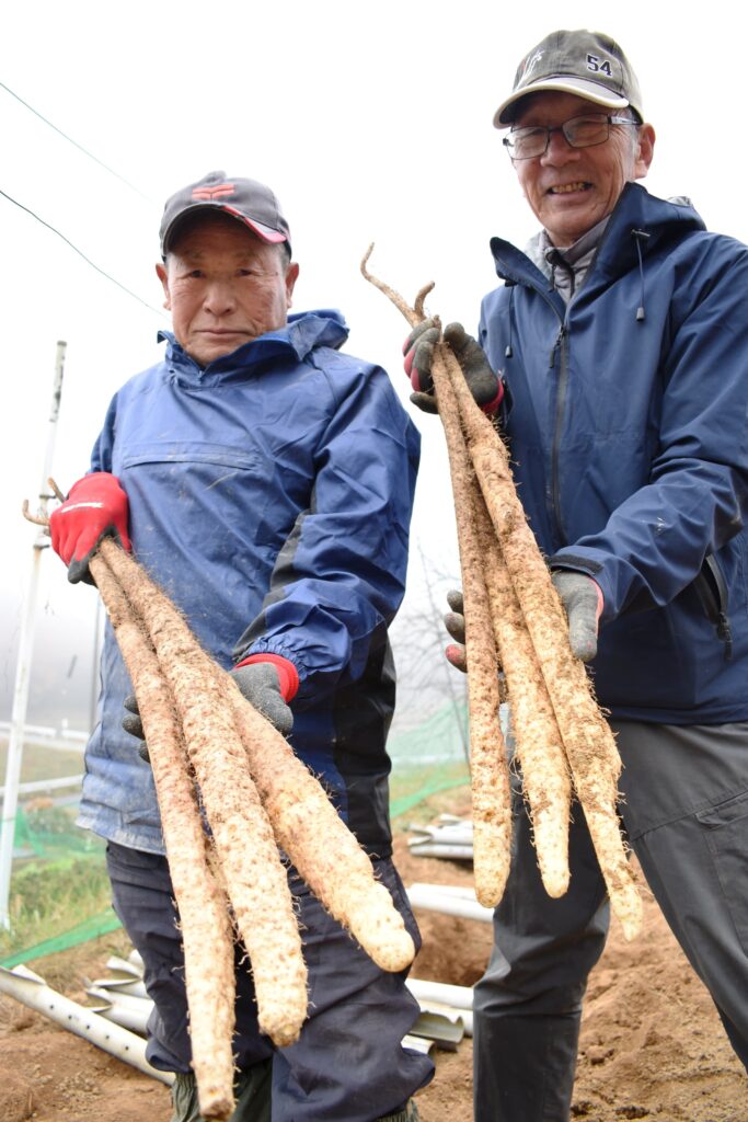 特産の自然薯をＰＲする津山自然薯生産組合のメンバー
