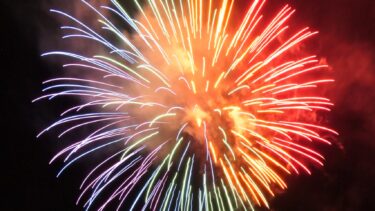 夜空と川面を彩る花火の大輪=岡山県真庭市で