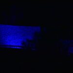 青色にライトアップされた津山城の石垣=岡山県津山市で