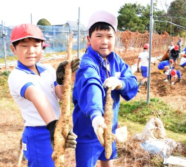 収穫した自然薯を手に笑顔の児童＝岡山県津山市で