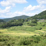 壮大な棚田の風景