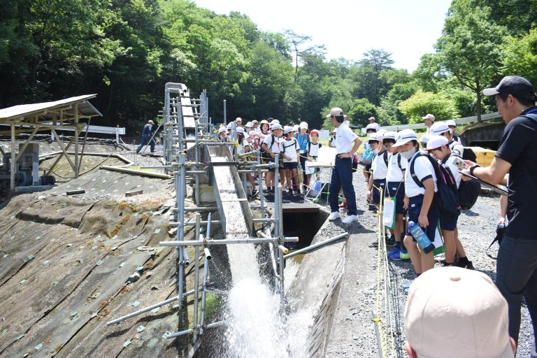 日植総合研究圃場の実証設備を見学する児童たち