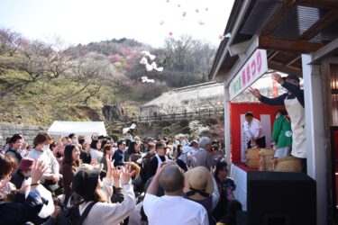 餅投げに歓声を上げる家族連れら=岡山県津山市で