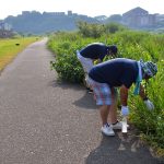 まつり会場の吉井川河川敷を清掃する実行委のメンバー