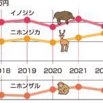 岡山県北10市町村の被害総額の推移