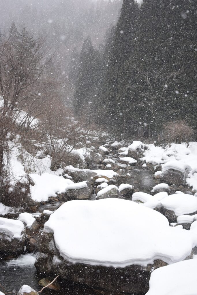 雪景色が広がる上斎原の渓谷＝岡山県鏡野町、国道482号沿いで