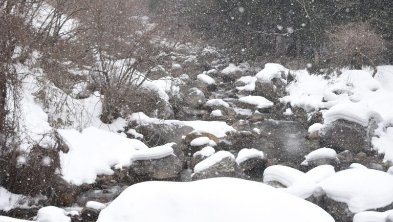 雪景色が広がる上斎原の渓谷＝岡山県鏡野町、国道482号沿いで