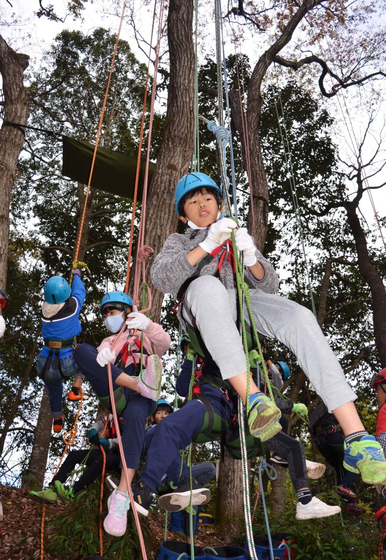 ツリークライミング体験会