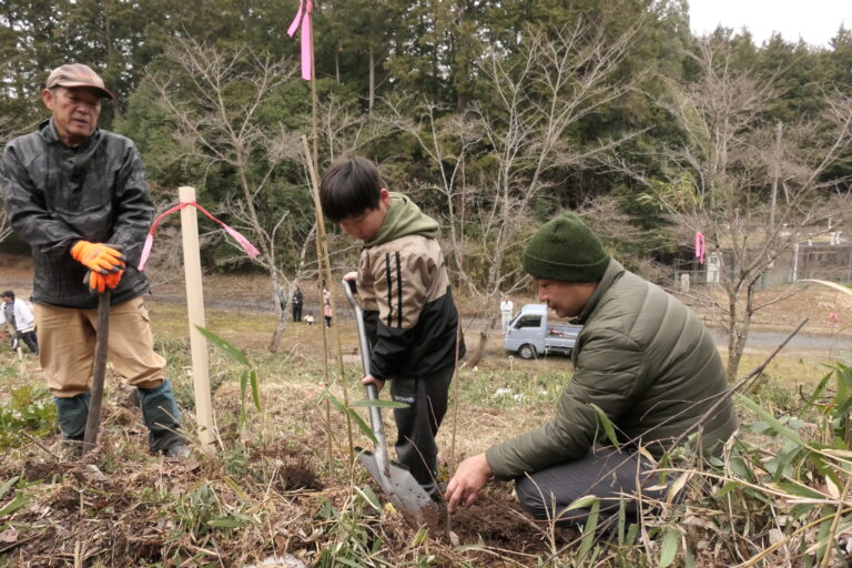 桜の苗木を植える子どもたち=岡山県奈義町、鎮守の森で