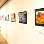 厳選のカットに見入る来場者