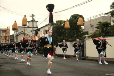踊りを披露する田町奴行列=岡山県津山市で