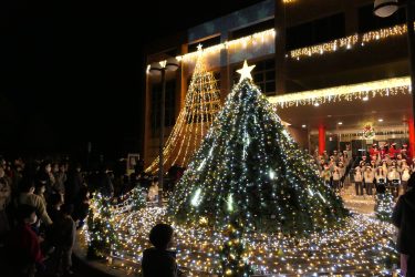 美作大学・同大短期大学部クリスマス・イルミネーションの点灯
