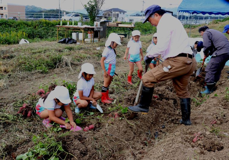 津山衆楽ライオンズクラブと作陽保育園児がサツマイモ収穫