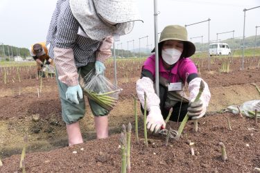 就農希望者の「塾」開講　栽培から収穫まで学ぶ　「やりがいある仕事」／岡山・津山市