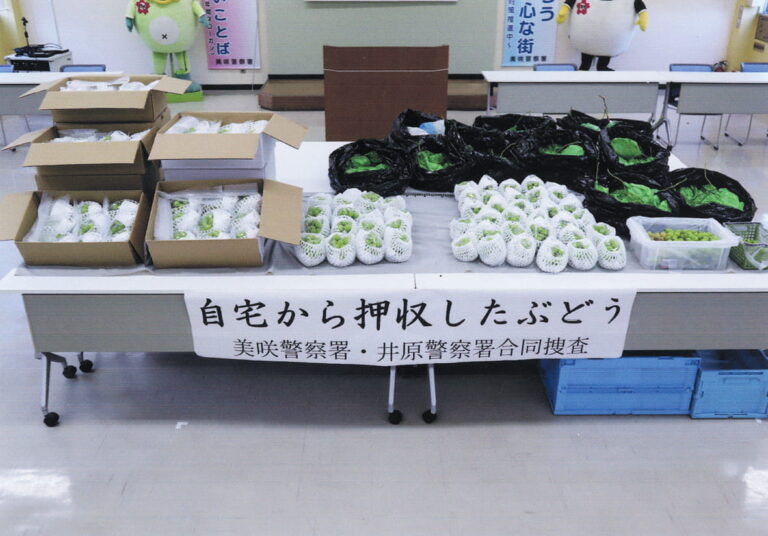 容疑者宅から押収したブドウ＝美咲署提供