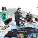 社員らとパンジーを植える児童=岡山県津山市で