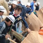 足踏み脱穀機に稲をかける子どもたち=岡山県津山市で